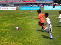 布伦特福德VS富勒姆直播分析周一赛事解析：都灵VS博洛尼亚，布伦特福德VS富勒姆，4场比赛