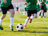 上海玄鸟VS香港金牛预测处子赛季争冠？NBL新生力量上海玄鸟首个赛季闯入总决赛，他们什么来历？